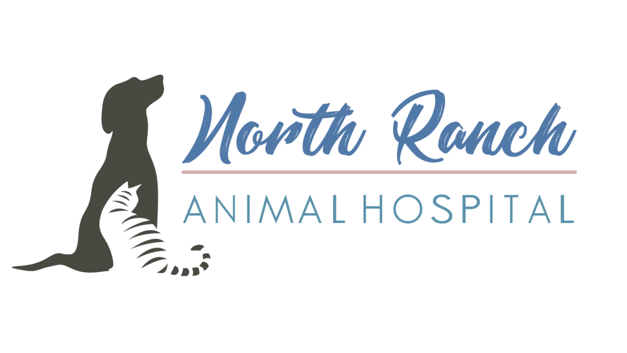 About North Ranch Animal Hospital | Vet In Scottsdale, AZ 85254